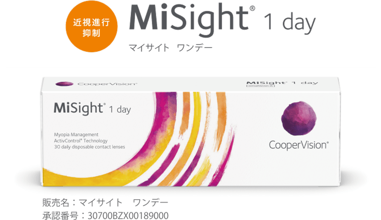 マイサイトワンデー